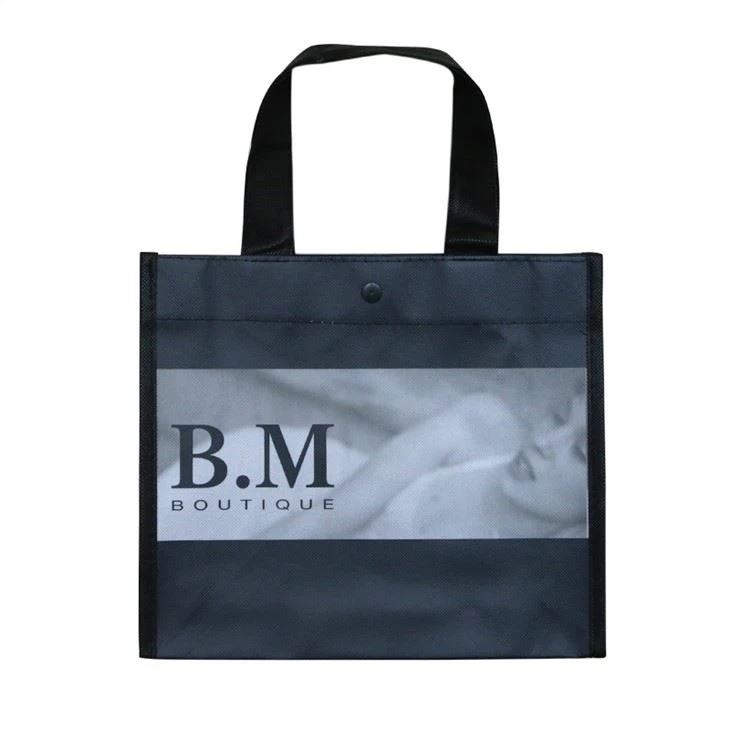 Cheap Laminated Non Woven Foldable Bag