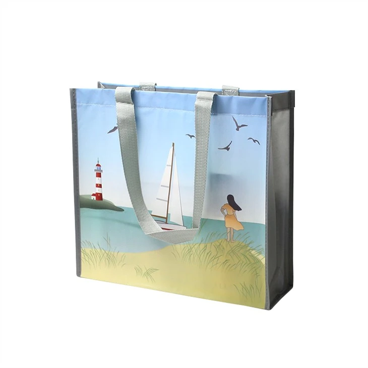 Fashional Non Woven Shopping Bag